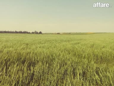 5 hectares terrain agricole nu