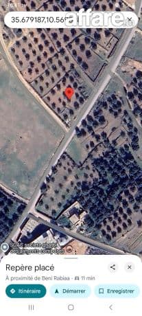 Vente terrain bani rabi3a