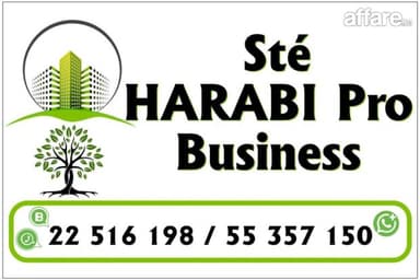 2h7 dans700 oliviers chitoui de 4 ans