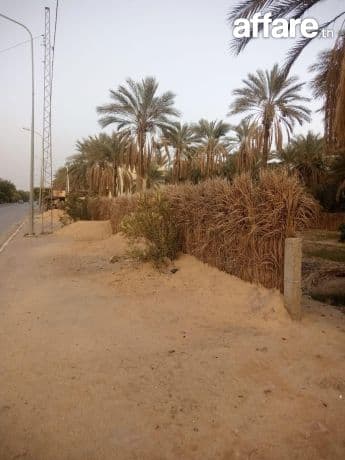 Un terrain de 1000 m² à TOZEUR à vendre 25400822
