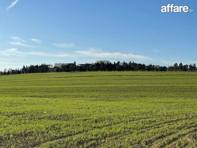 Formidable super ferme 13h