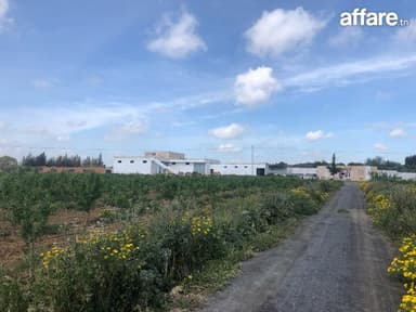  Ferme 10 hectares bir mcherga