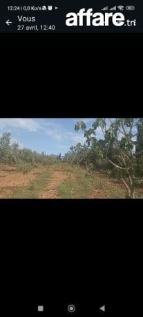  Une belle petite ferme de 1 hectare