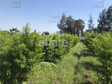 Terrain agricole