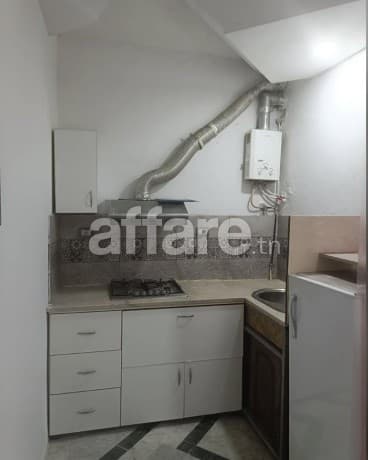 À Louer Appartement S+1 Meublé à France Ville El Omrane