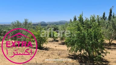 Campagne avec vue mer à vendre à El Haouaria de Nabeul