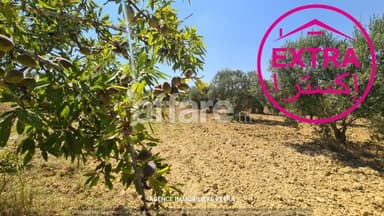 Campagne à vendre à Boushem Nabeul