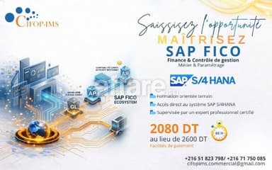 Formation SAP FICO