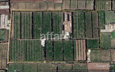 Ferme Agricole de 11 hectares à Soliman