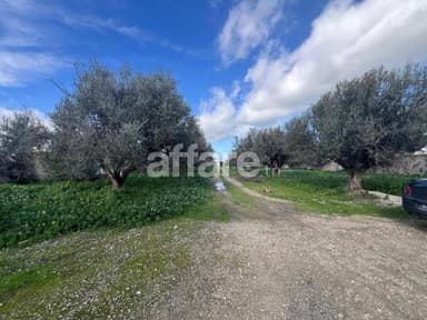 À vendre à sidi younes