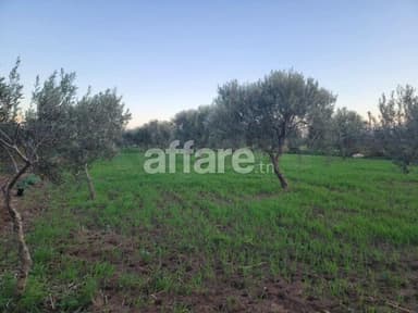Terrain agricole