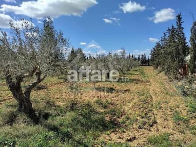 Terrain à vendre
