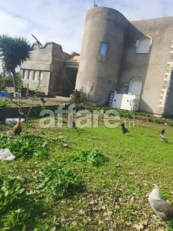 Ferme agricole titrée à Jdeida