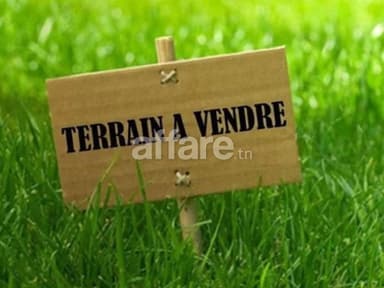 5 ha a partager par 5 personnes