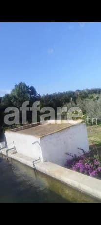À VENDRE SUPERBE ORANGERAIE À SOLIMAN