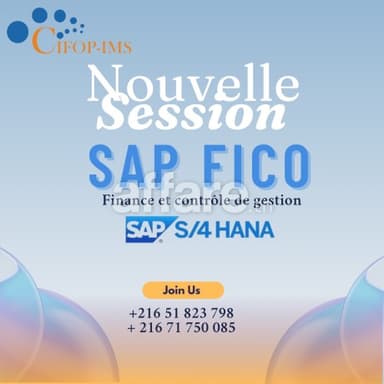 Formation SAP FICO S 4HANA