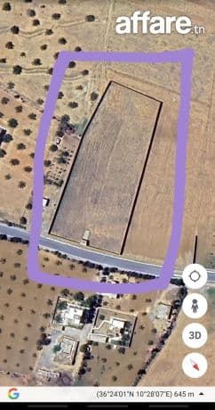 À VENDRE  à Hammamet terrain clôturé de4 faces de 8200 m² 