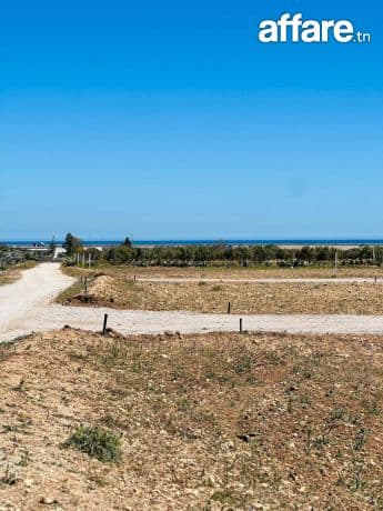 Terrains à bouficha 