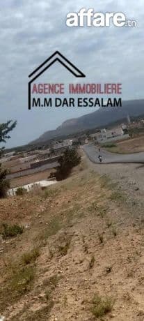 terrin à menzel salem