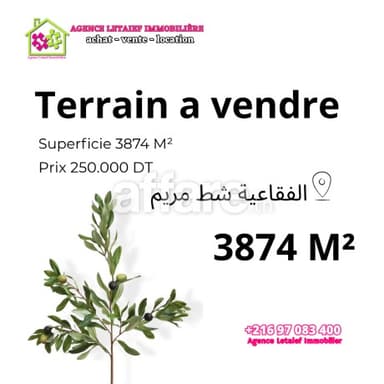 Terrain de 3800m² a foukaia