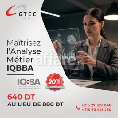 Formation Business Analyst IQBBA