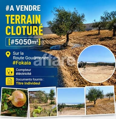 Terrain Cloturé 5050m² Sur la Route Goudronnée Fokaia