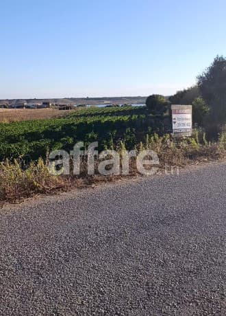 Un terrain Agricole de 5000m² à 5 minutes de la ville