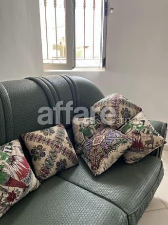Coussins décoratifs vendus en lot