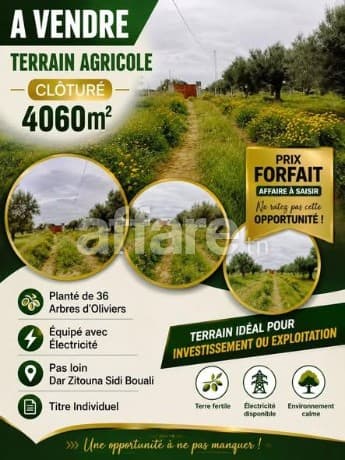 Terrain Agricole 4060m² Pas loin Dar Zitouna Sidi Bouali