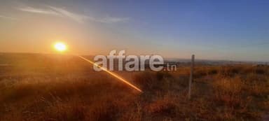 Terrain agricole 1000 m² à vendre El Mohamedia Ben Arous