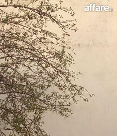 Local spacieux à louer pour usine ou entrepôt