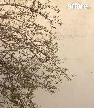 Local spacieux à louer pour usine ou entrepôt