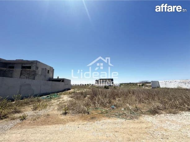 Terrain Haroun à Douikhla PRIX IMBATTABLE