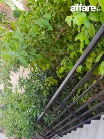 📍Ennasr 𝟐 ; à louer Etage de Villa 𝐒+3 avec terrasse 
