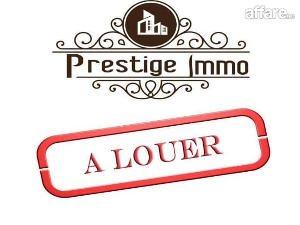 spacieux appartement 