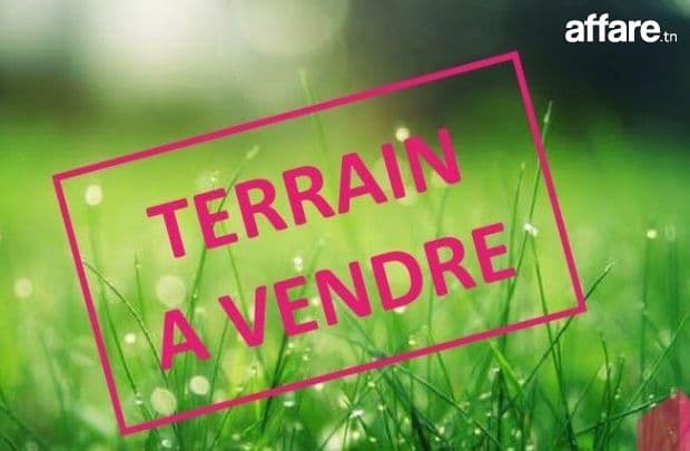 Terrain proche de Hammamet Centre