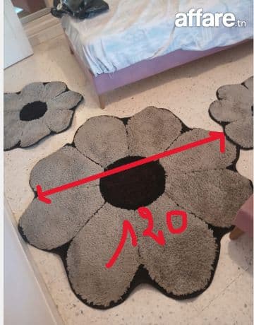  grand tapis occasion  + 2 tapis moyen 