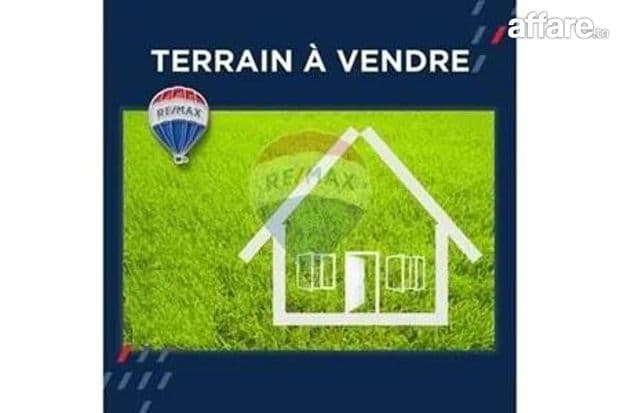 Un lot de terrain au cité Riadh Kelibia 