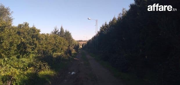 terrain a borj hfaiedh 2000 m