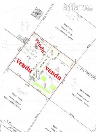 Terrain rectangulaire nu à saltania sfax