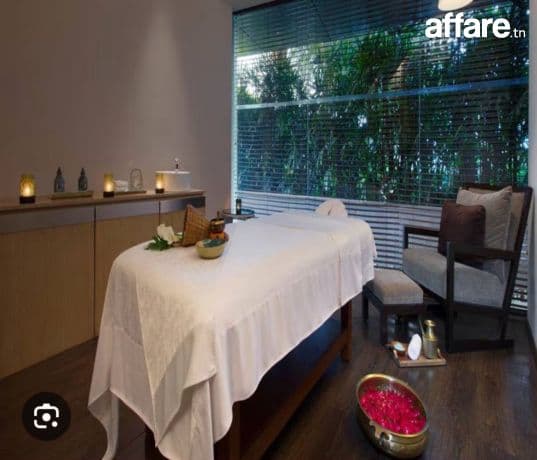 Soin Spa Doux et Réconfortant 54 128 420