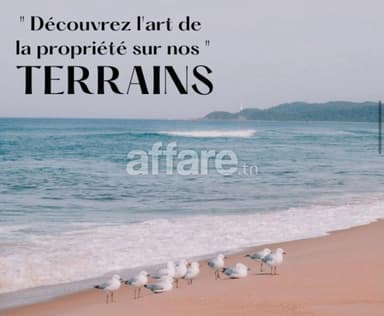 Une belle opportunité a saisir