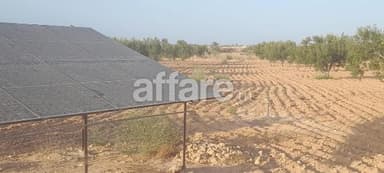 Terrain à vendre á mellita djerba