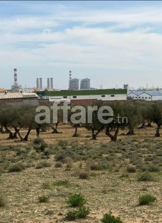 Vente terrain constructible Sousse 30 000 m²