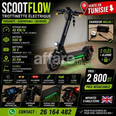  SCOOTFLOW  Trotinette électrique 45km/h 500W- 36v