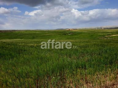 12 hectares Vente Terrain agricole Opportunité d Affaire