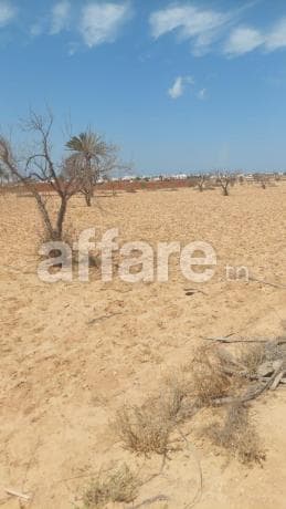 À vendre Terrain agricole à Mellita Djerba