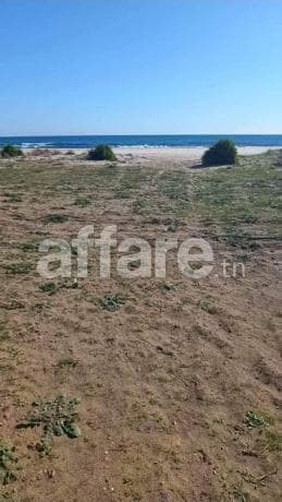 Terrain au cap bon 1000 m2