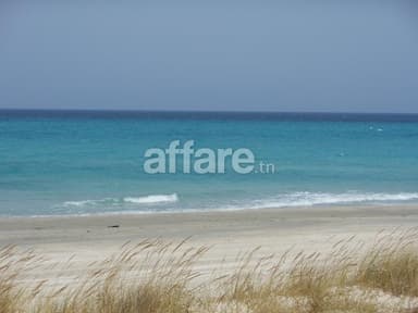 5 ha a partager a 200 m a la plage