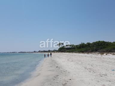 Un terrain a sasir de 1000 metre carre